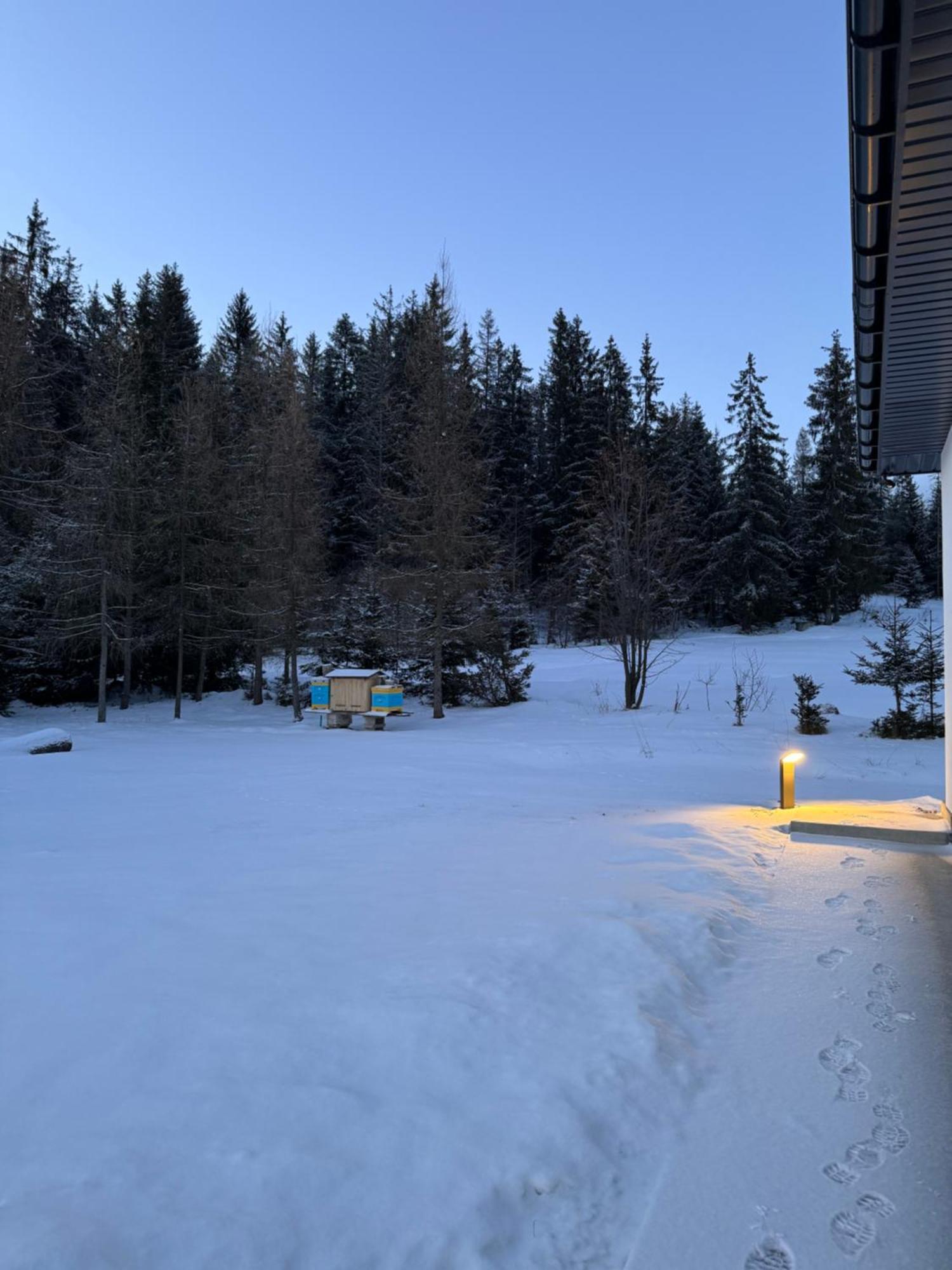 Orawska Knieja 2.0 Villa Lipnica Wielka ภายนอก รูปภาพ